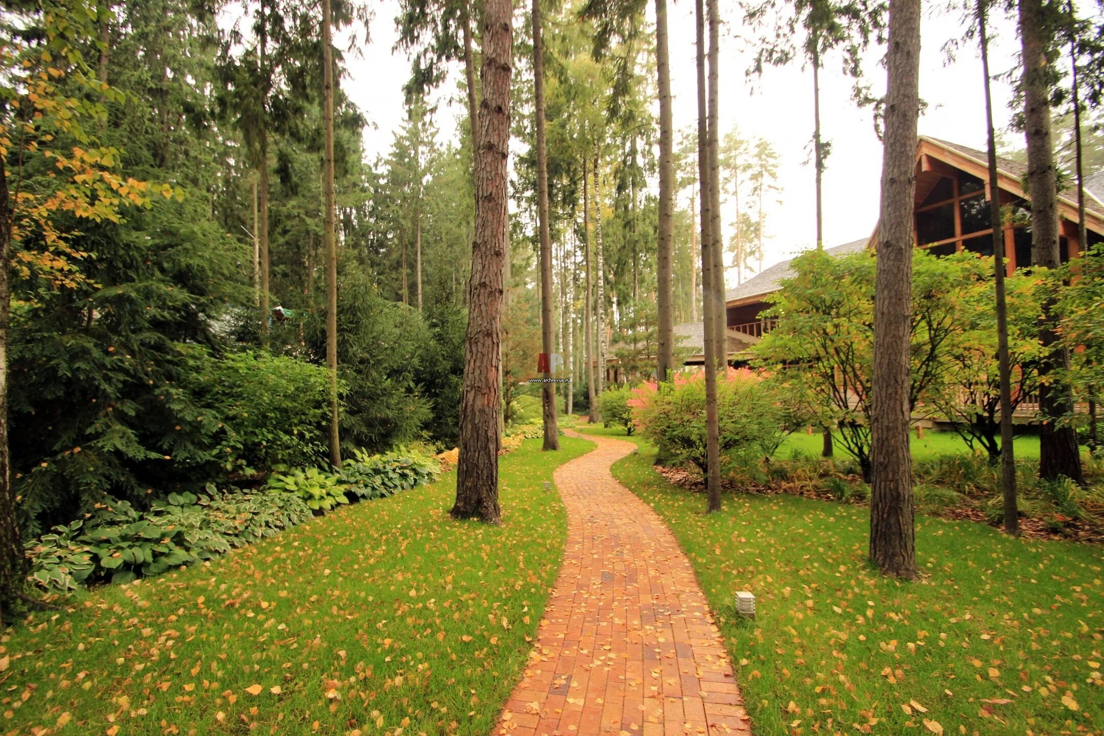 Пансионат покровское одинцовский район официальный сайт. Ландшафт участка 12 соток. База покровское одинцовский район. Детский сад 24 лесной городок. Жк царская баллада одинцово.