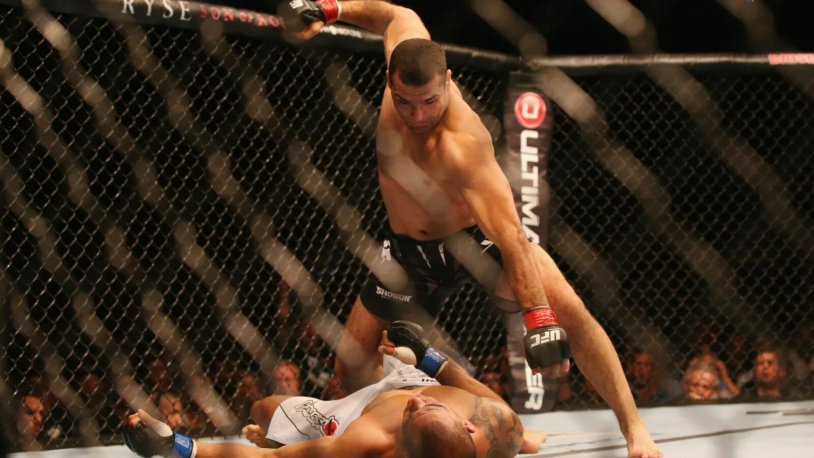 Как называется бой на полу. Как называется бой на полу. Пётр ян жозе альдо. Безправил. Дастин порье ufc.