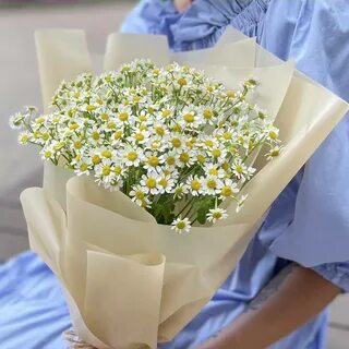 Букет из 9 ромашек