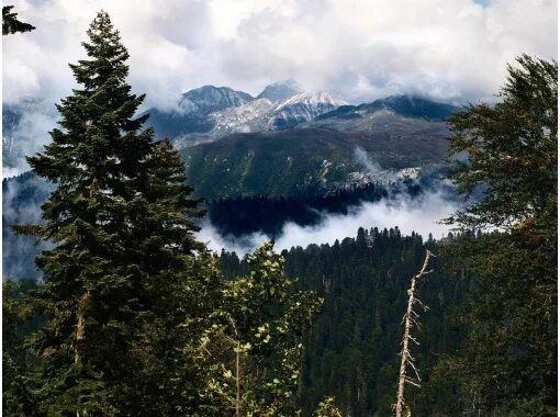 Гора мамзышха 1873 м гагрский район фото Экскурсия на гору Мамзышха (Абхазия) цены 2024, турагентство Круиз-Гагра