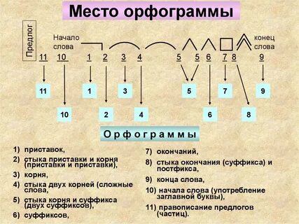 Виды орфограмм окончание слова