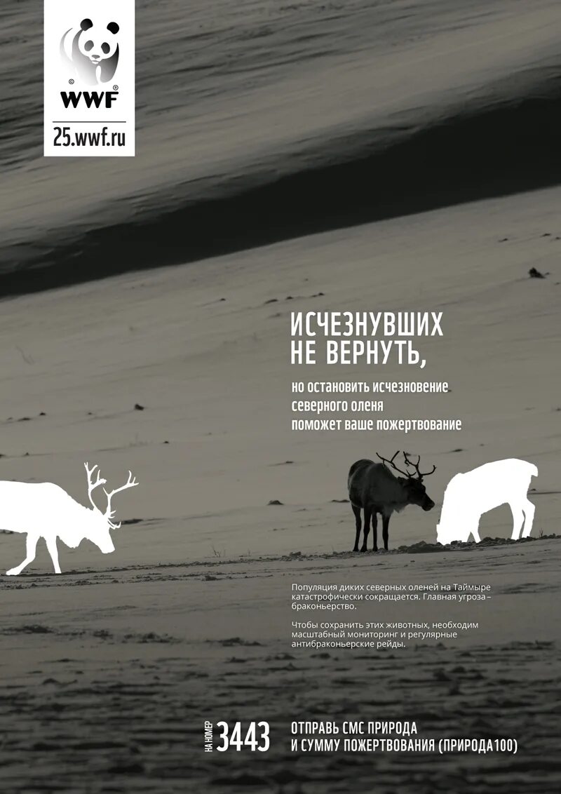 восстановление удаленных фотографий на андроиде. как восстановить фотографии в галерее. как восстановить исчезающие фото. как восстановить удаленные изображения. восстановить недавно удаленные снимки.