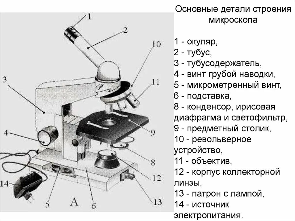 Микроскоп название частей биология 5 класс. Микроскоп Биолам строение. Строение микроскопа Микмед. Световой микроскоп Биолам строение. Строение светового микроскопа Микмед 5.