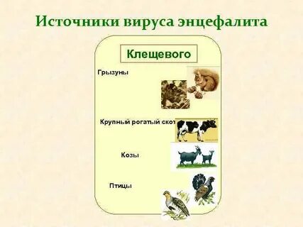 Клещевой энцефалит пути передачи