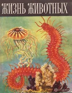 Жизнь животных том 1
