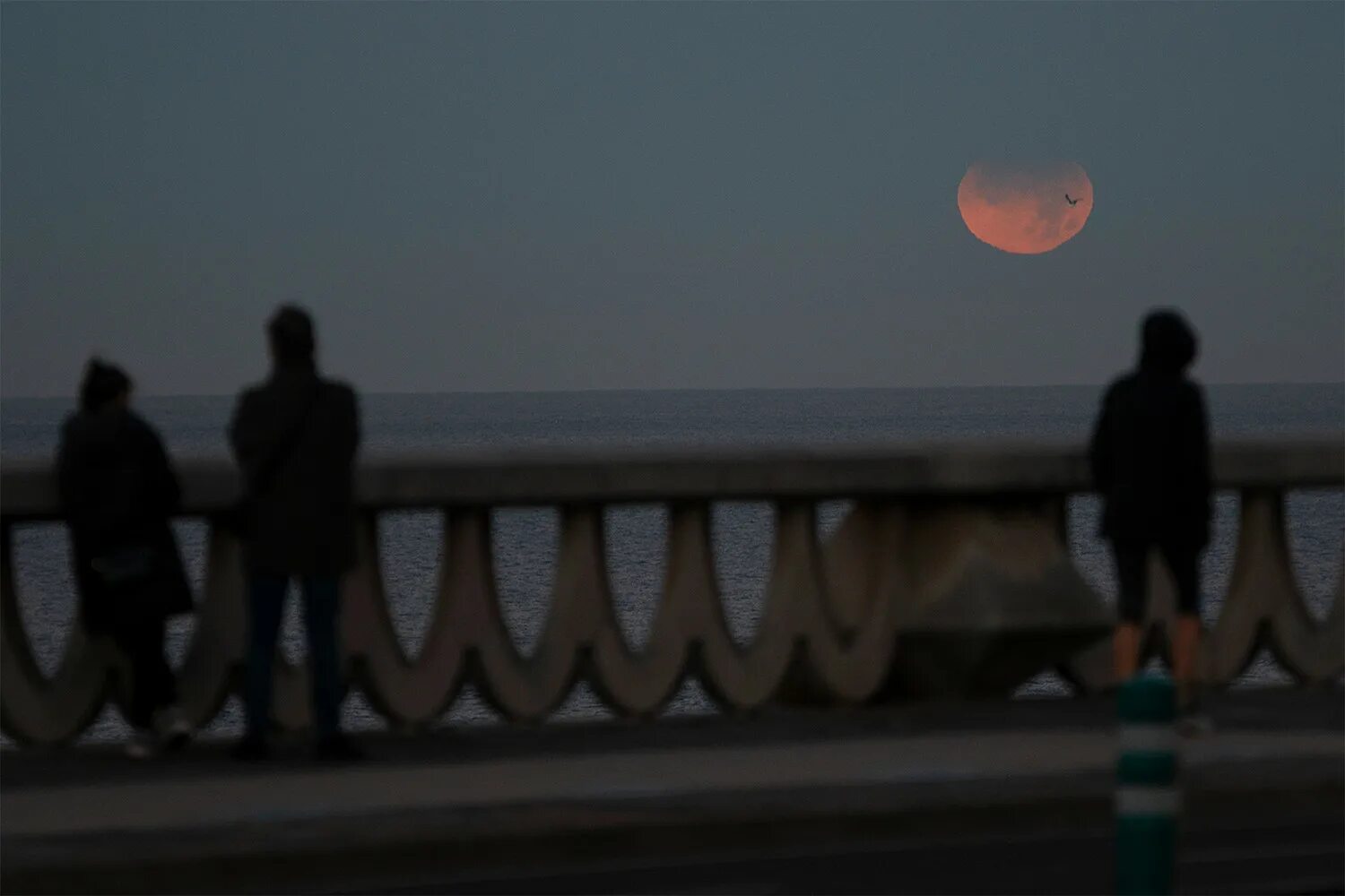 Лунное затмение 19 ноября 2021. Лунное затмение 8 ноября 2022. Лунное затмение в ноябре 2021. Затмение Луны фото. Затмение солнца 8 апреля 2024 года