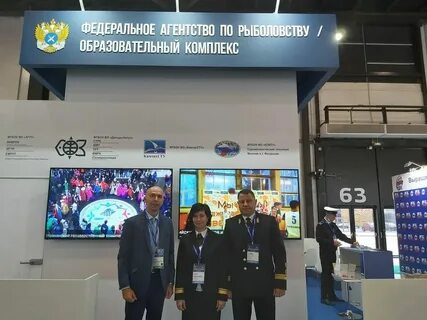 Выставка мой петербург 2024 бассейная
