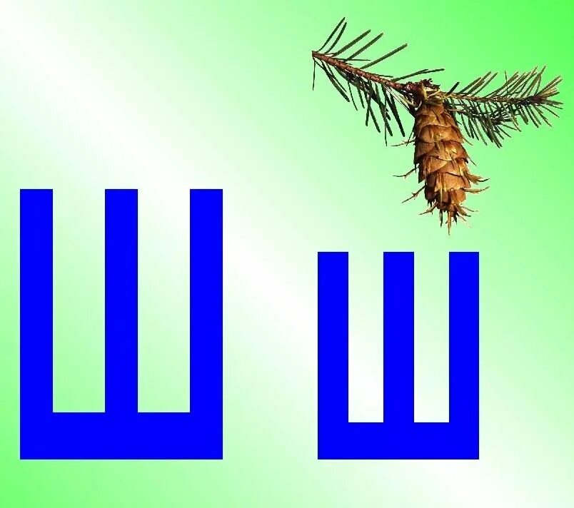 буквы алфавита ш. буква ш рисунок. особый ш. буква ш. шоколад "особый" горький 85% какао 88гр.