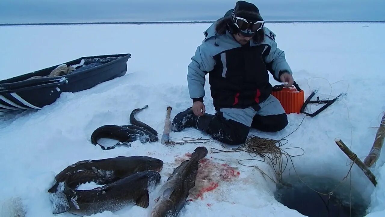 Зимняя ловля видео. Подледная рыбалка на севере. Зимняя рыбалка на севере. Рыбалка сетями зимой. Рыбалка сетями на севере.