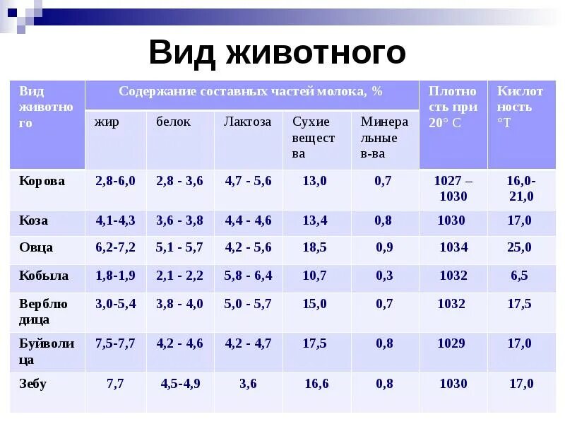 Жирность молока у коровы. Норма белка в молоке коровьем. Сравнительная характеристика пород коров. Козье молоко таблица состав козьего. Жирность молока у коровы.