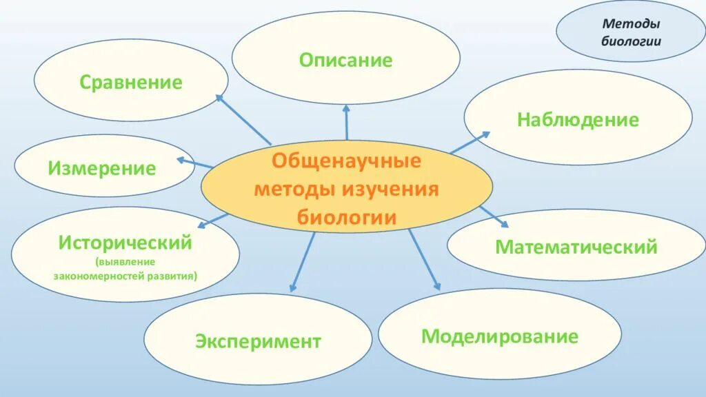 Привести пример наблюдения биология 5 класс. Схема методов изучения биологии 5 класс. Методы исследования в биологии. Способы исследования в биологии. Основные методы исследования в биологии.