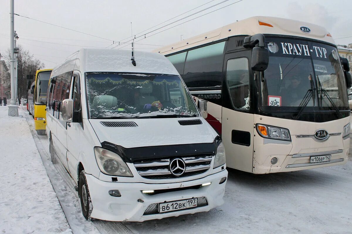 Новокузнецк новосибирск автобус купить. 571 Барнаул - Белокуриха. Автобус Новокузнецк Барнаул. Автобус Новокузнецк Белокуриха. Автобус Барнаул Белокуриха.