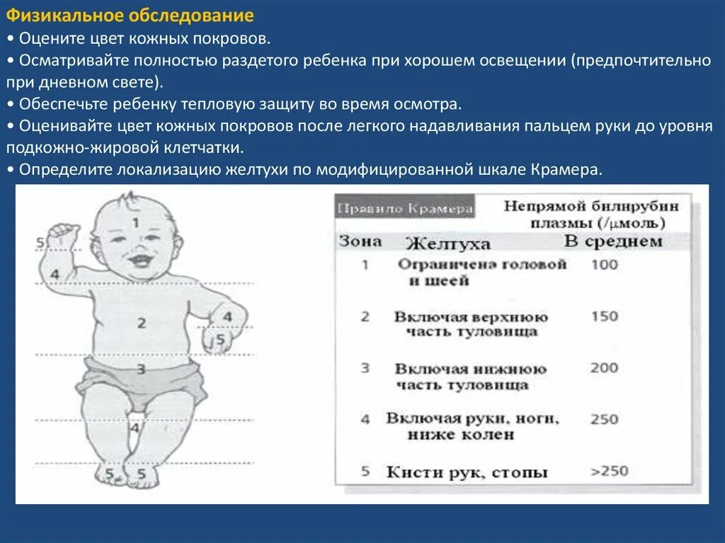 Ребенку 2 5 месяца температура. Физикальное обследование новорожденных. Температура у новорожденных. Физикальное обследование младенец. Физикальный осмотр новорожденного.