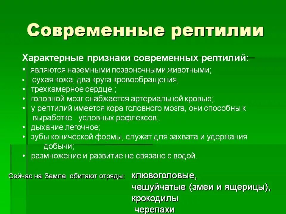 Признаки характерные для рептилий. Отличительные особенности рептилий. Признаки пресмыкающихся. Характерные признаки пресмыкающих.