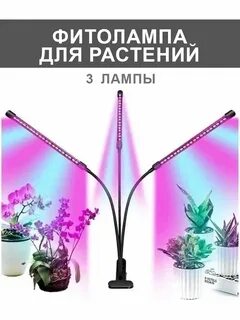 Мощность лампы для рассады