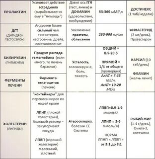 Ферменты печени таблица