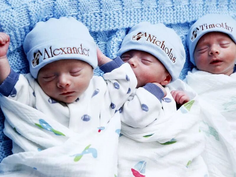 Родились вера надежда и игнат. София беременная четверней. Алексис кладжетт тройняшки. Близнецы тройня. Тройняшки 3 года.