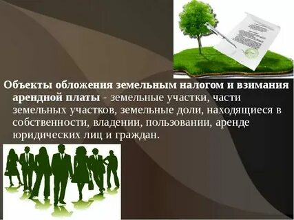 Плата за землю это