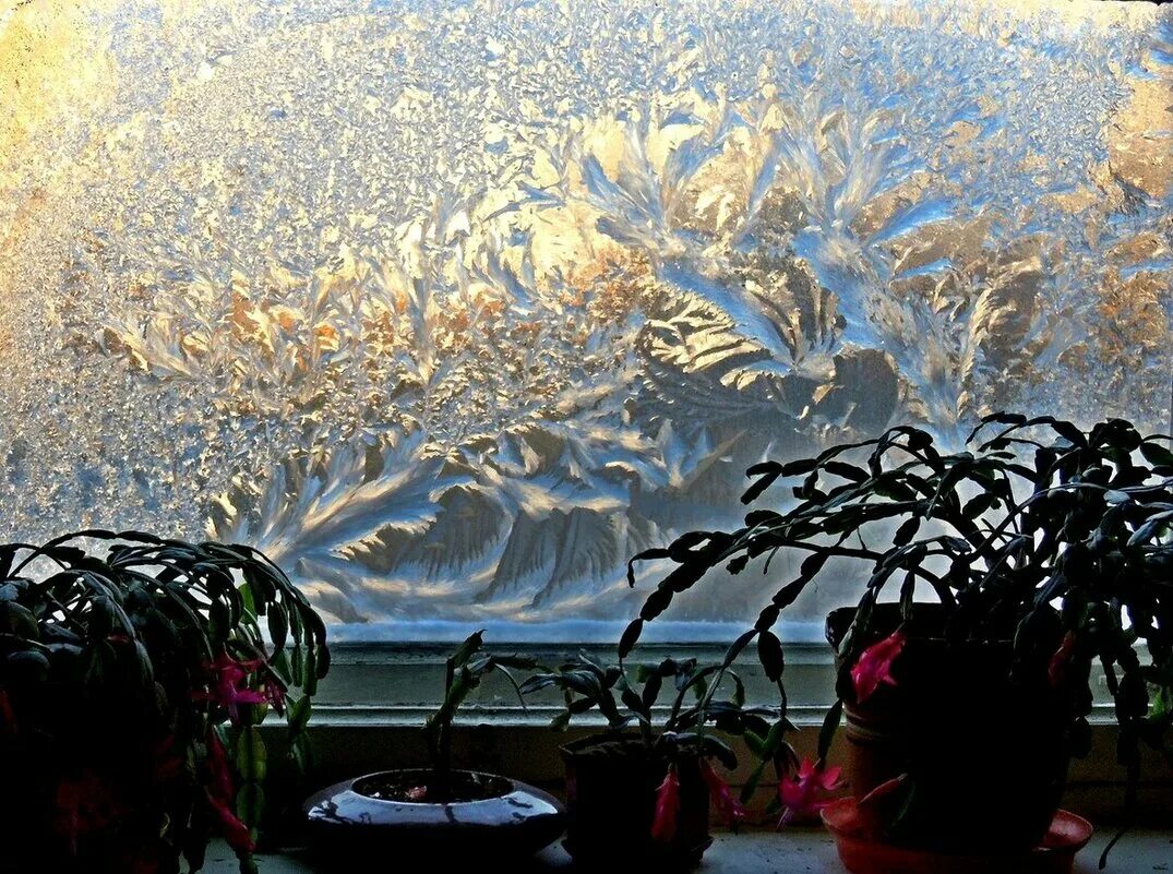 Услышав слово стекло вы наверняка представляете окно. Узоры на окне. Морозное окно. Морозные узоры на окне. Мороз на окне.