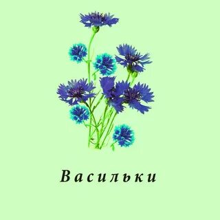 Лютики васильки песня текст