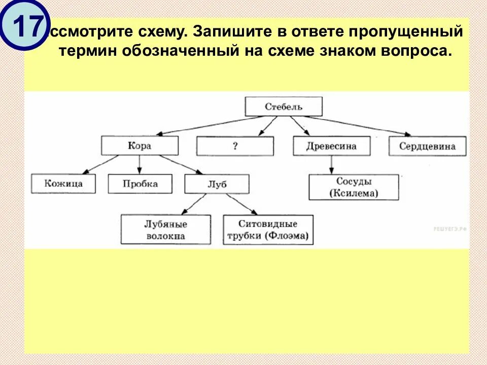 Выпишите термины обозначавшие новые виды оружия. Запиши понятие пропущенное в схеме. Запишите термин, пропущенный в схеме. Пропущенный термин, обозначенный на схеме знаком вопроса. Ответ:. Схемы для презентации.