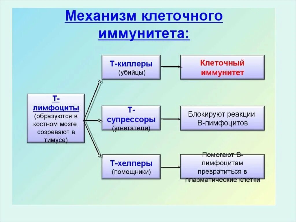 Основные звенья патогенеза атеросклероза. Патогенез ренопривной артериальной гипертензии. Основные звенья патогенеза. Механизмы развития артериальных гипертензий патофизиология. Три основные признака наркомании и токсикомании.