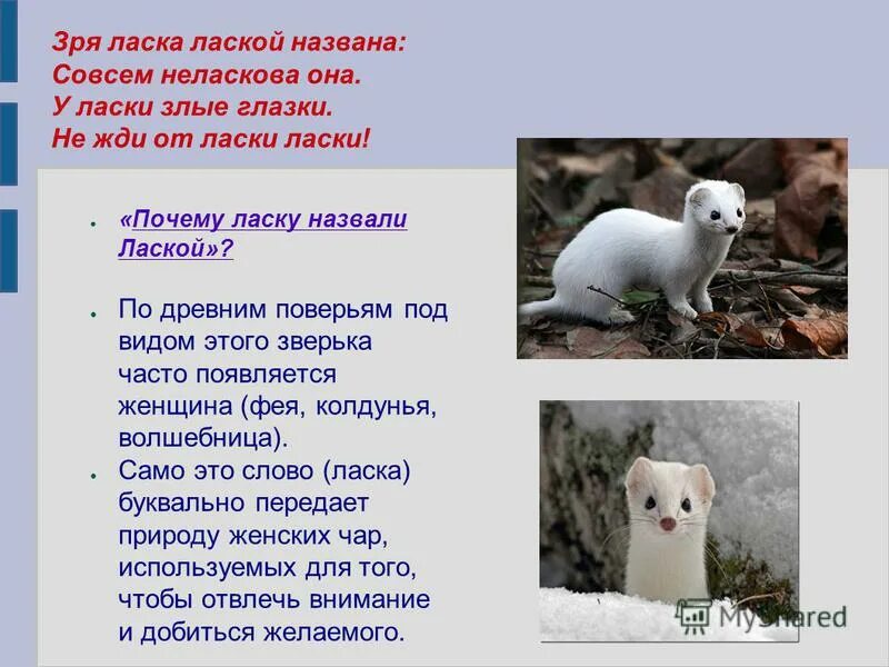 Ласка вопросов