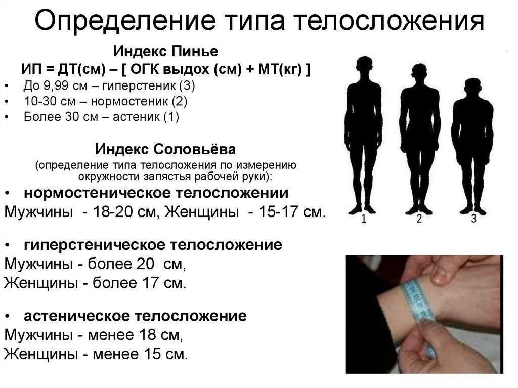 Как определяют конституцию человека. Измерение запястья для определения типа телосложения. Методы оценки телосложения.. Как измерять запястье для определения типа телосложения. Типы телосложения человека критерии определения типа телосложения.