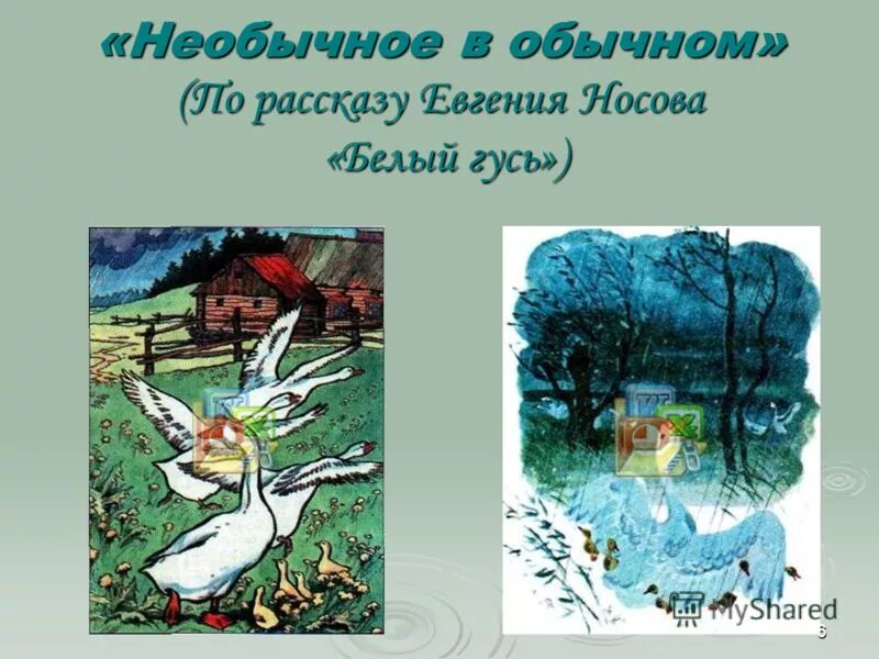 Тест е носова. Е Носов белый Гусь. Рассказ Носова белый Гусь.