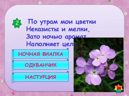 2 загадка цветов