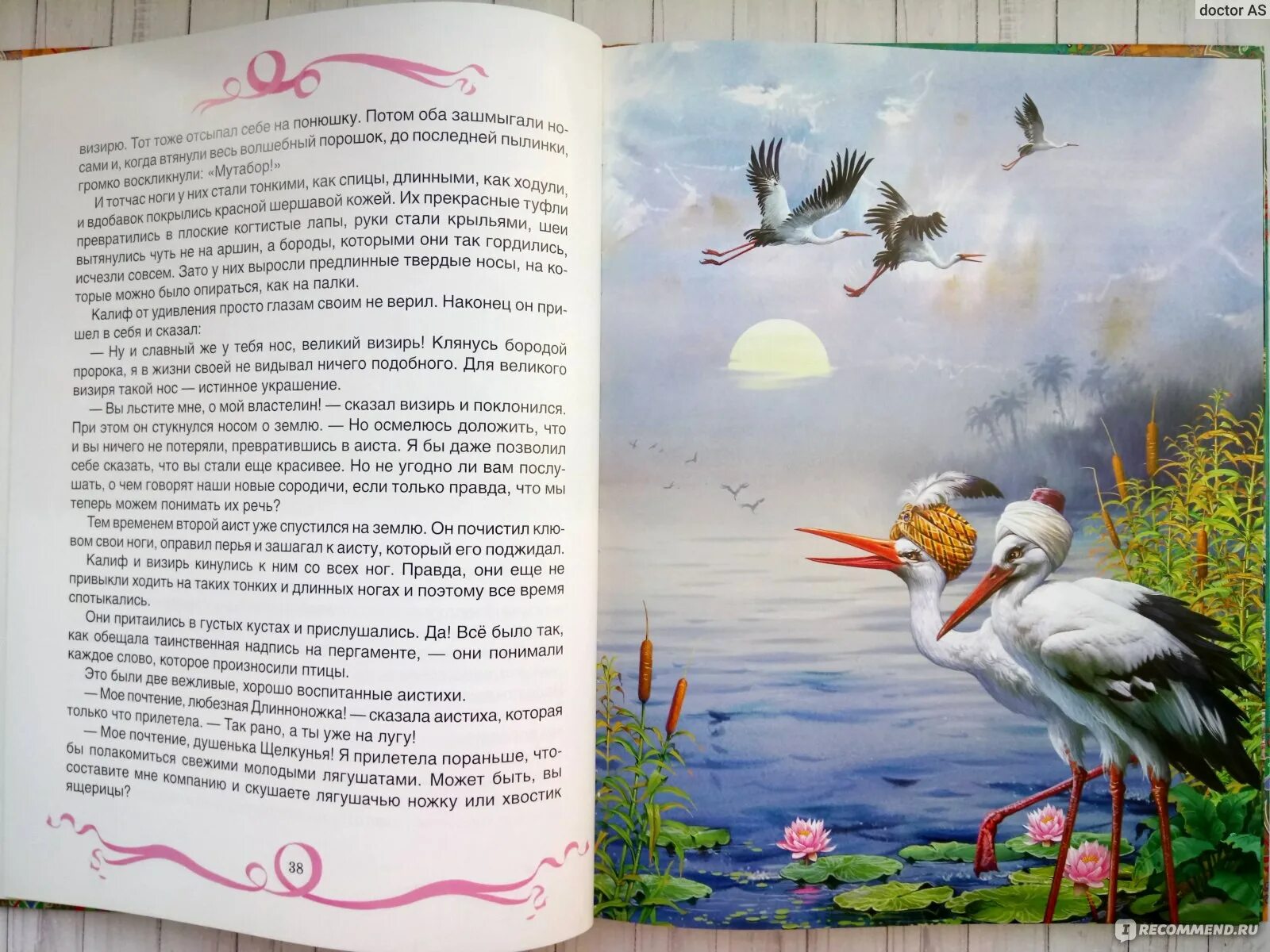 Калиф аист читать сказку. Сказка гауфа аист. сказка аисты андерсена. калиф-аист книга. гауф калиф аист читать.