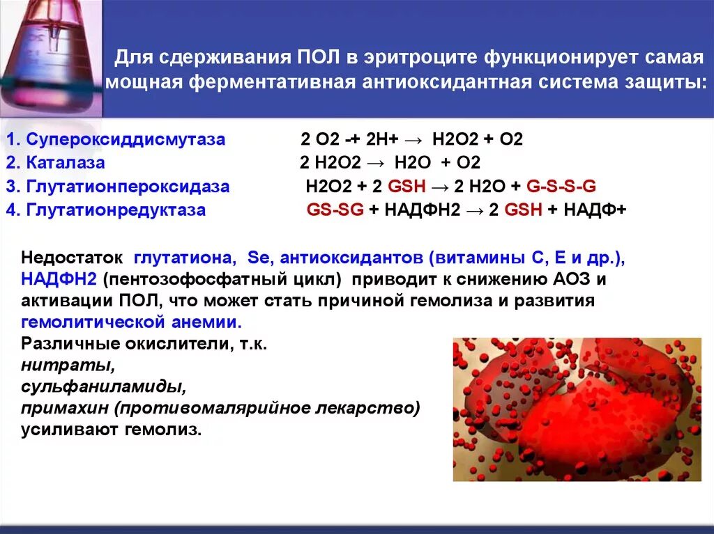 Антиоксидантные ферменты. Антиоксидантная система эритроцитов биохимия. Система антиоксидантной защиты эритроцита. Антиоксидантная защита в эритроцитах биохимия. Антиоксидантные ферменты в эритроците.