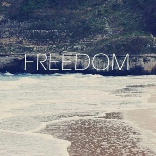 Ariel logo. Freedom надпись эскиз. Freedom logo. Фридом картинки. Свобода freedom.