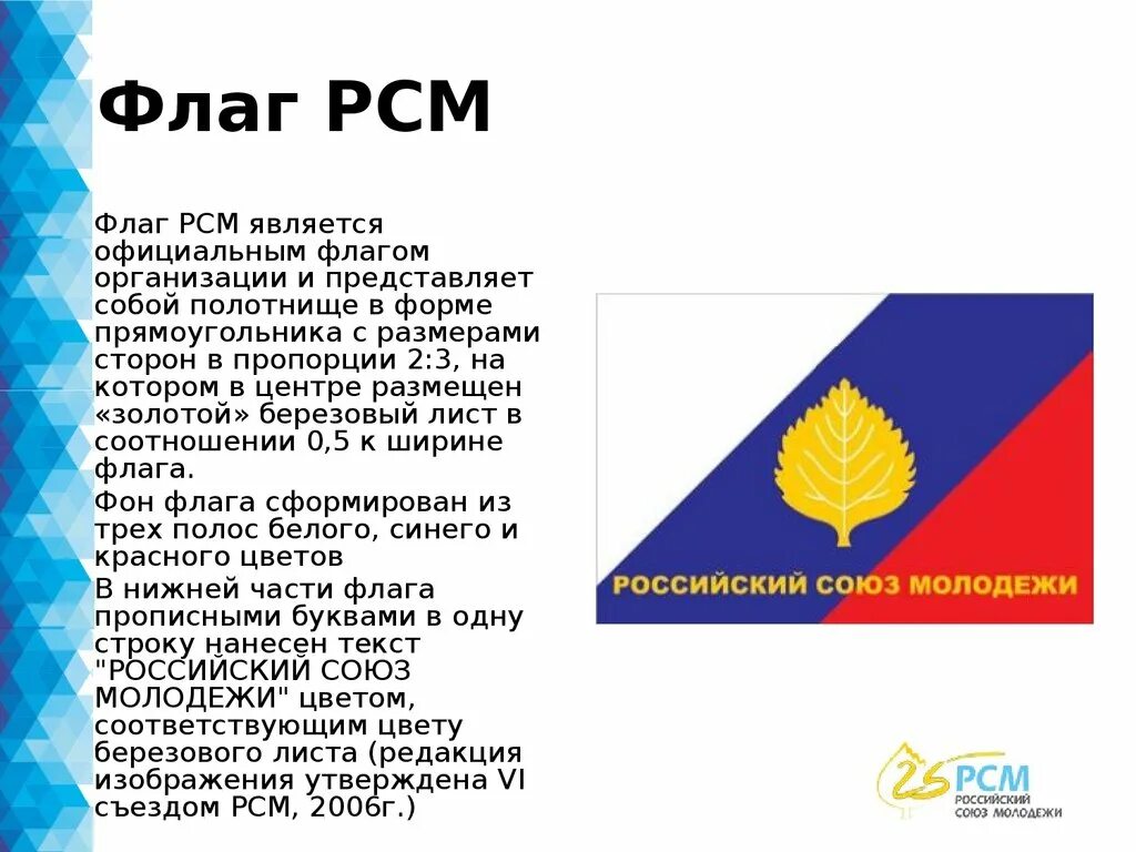 Союз молодежных. Российский Союз молодежи Общероссийская общественная организация. РСМ российский Союз молодежи. Флаг РСМ. Российский Союз молодежи значок.