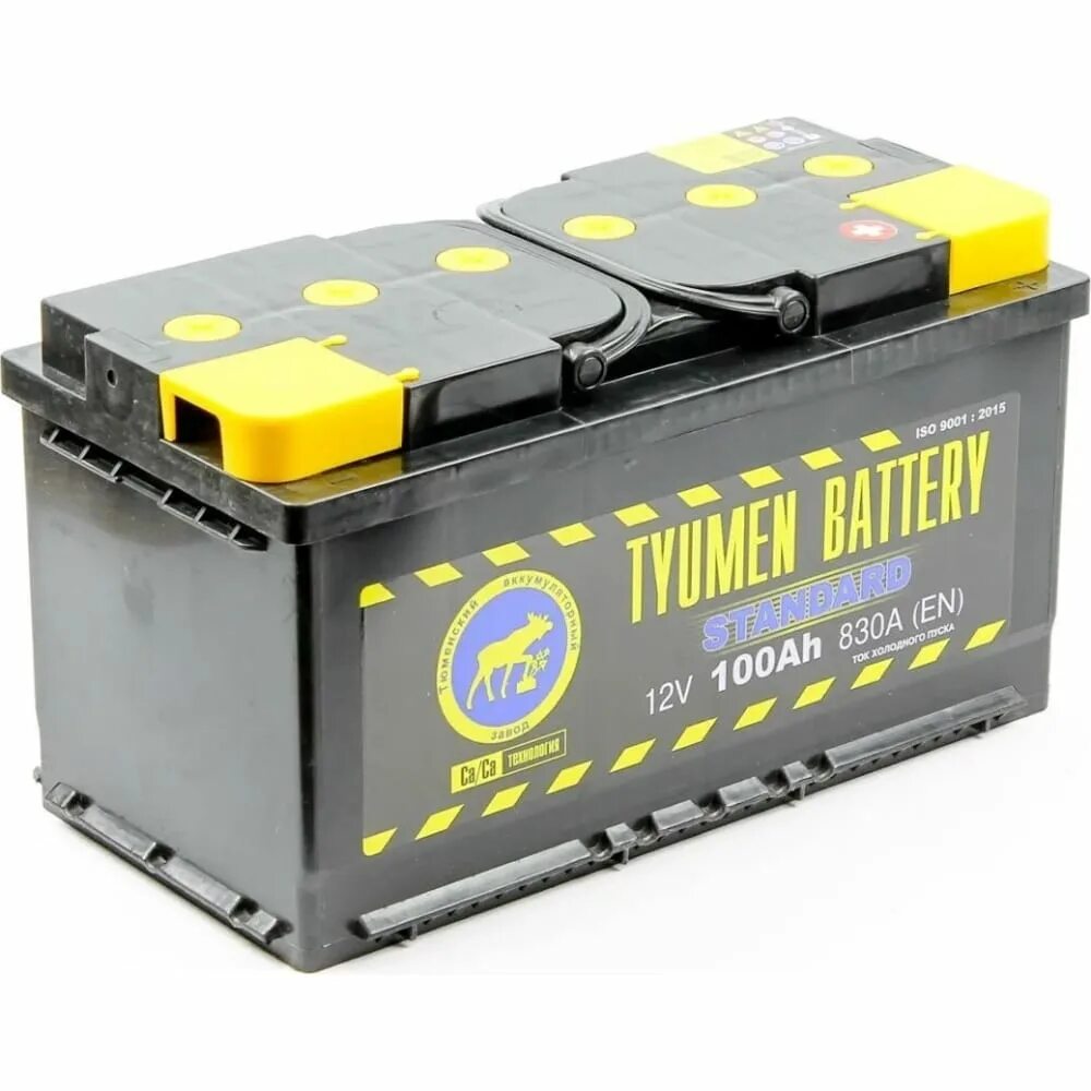 Тюмень батарея купить. Tyumen Battery Standard 100а/ч. Автомобильный аккумулятор Tyumen Battery Standard 62. Tyumen Battery Standard 6ст-100 обр.. Аккумуляторные батареи 6ст-100 АПЗ.