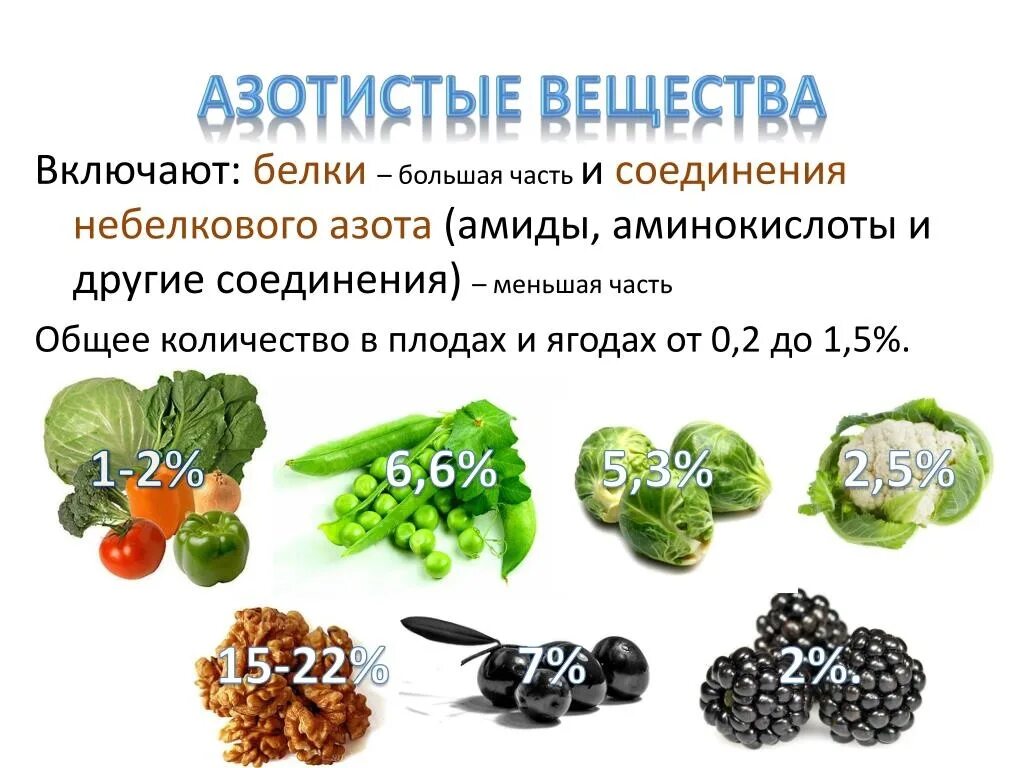 Азот содержащиеся соединения. Азотистые вещества. Продукты содержащие азотистые соединения. Азот в продуктах. Продукты богатые азото.