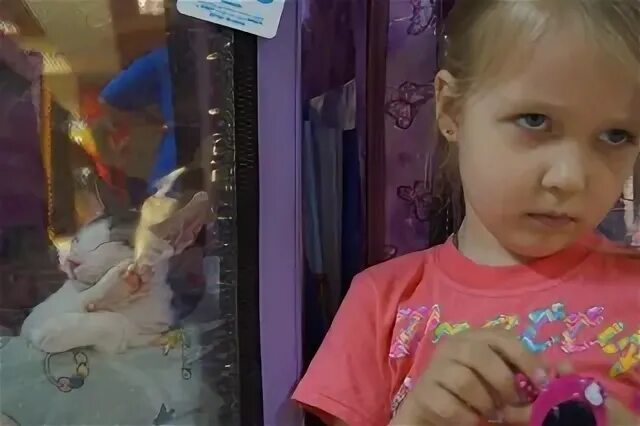Елизавета Якушева, 30.3 в ВКонтакте, фото(11), телефон, аккаунт, Новосибирск