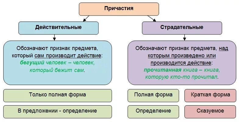 Страдающий причастие. Действительные и страдательные причастия 7 класс. Действительны и страдает причастия 7 класс. Действительные и страдательные причастия примеры. Действительные и страдательные причастия урок 7 класс.