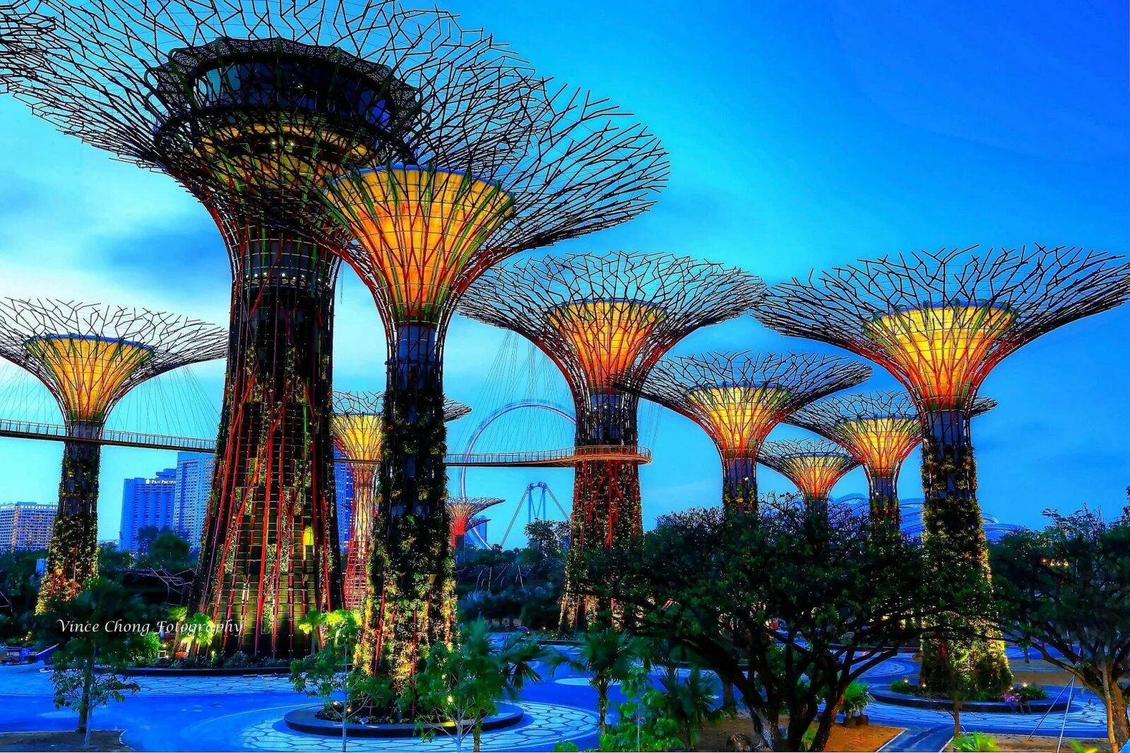 Сингапур Singapore