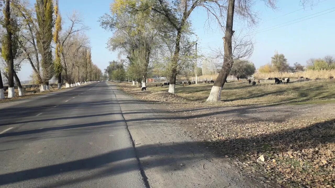 Город Кара Балта, Кыргызстан - смотреть видео онлайн от "Rutube Traveling" в хор