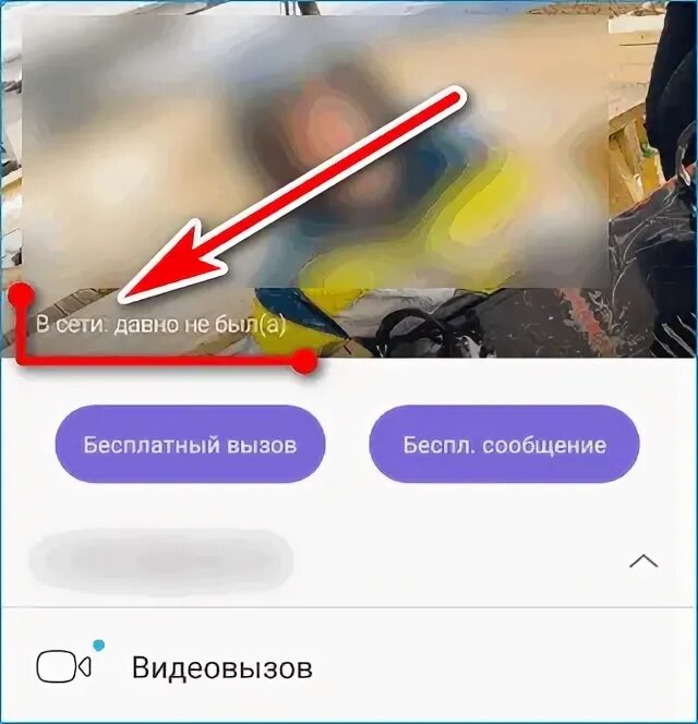 Как убрать в вайбере время последнего посещения. Как убрать в вайбере время последнего посещения