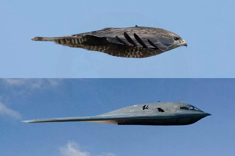 Стелс-бомбардировщик b-2. B-2 Spirit: стелс-бомбардировщик. Истребитель стелс b2. Стелс б2 спирит.