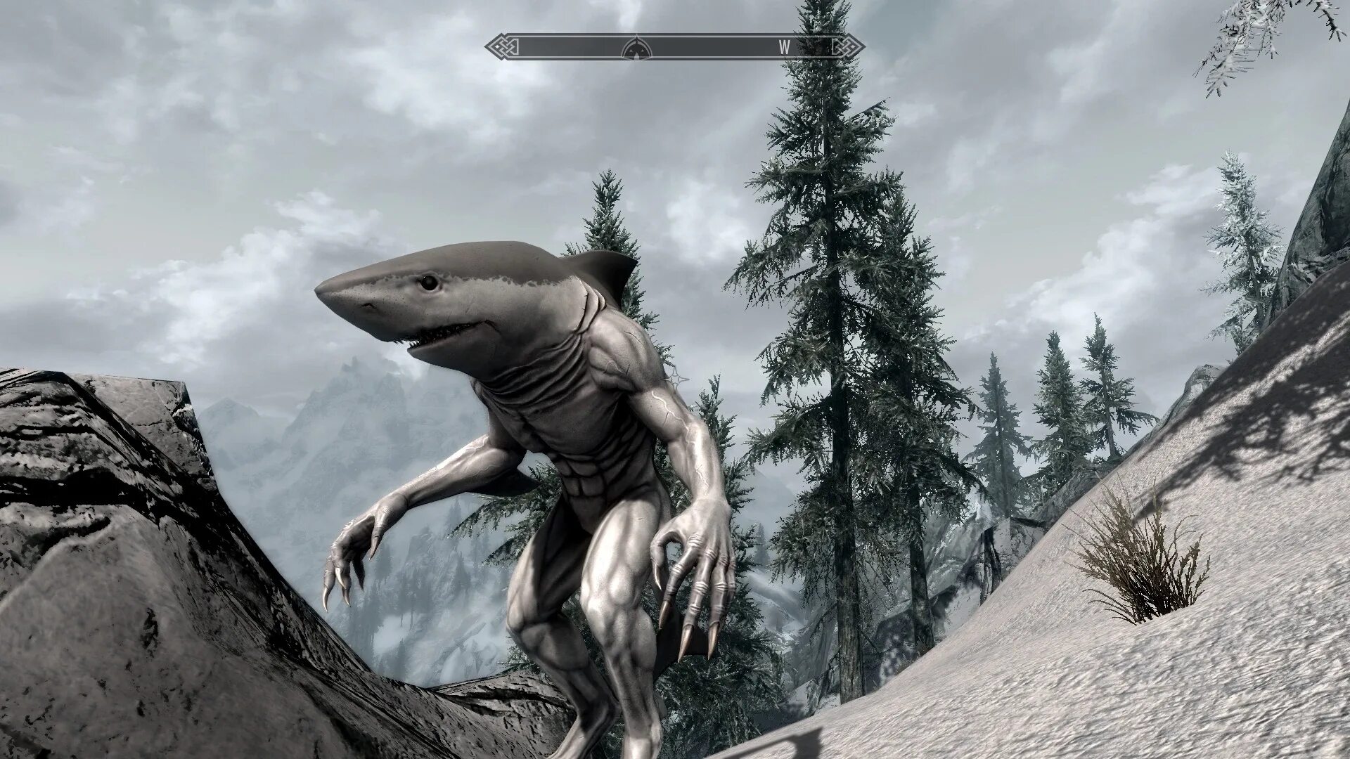 Скайрим новый персонаж. Вервольф акула скайрим. Акула оборотень скайрим. The Elder Scrolls акула оборотень. The Elder Scrolls хирсин.