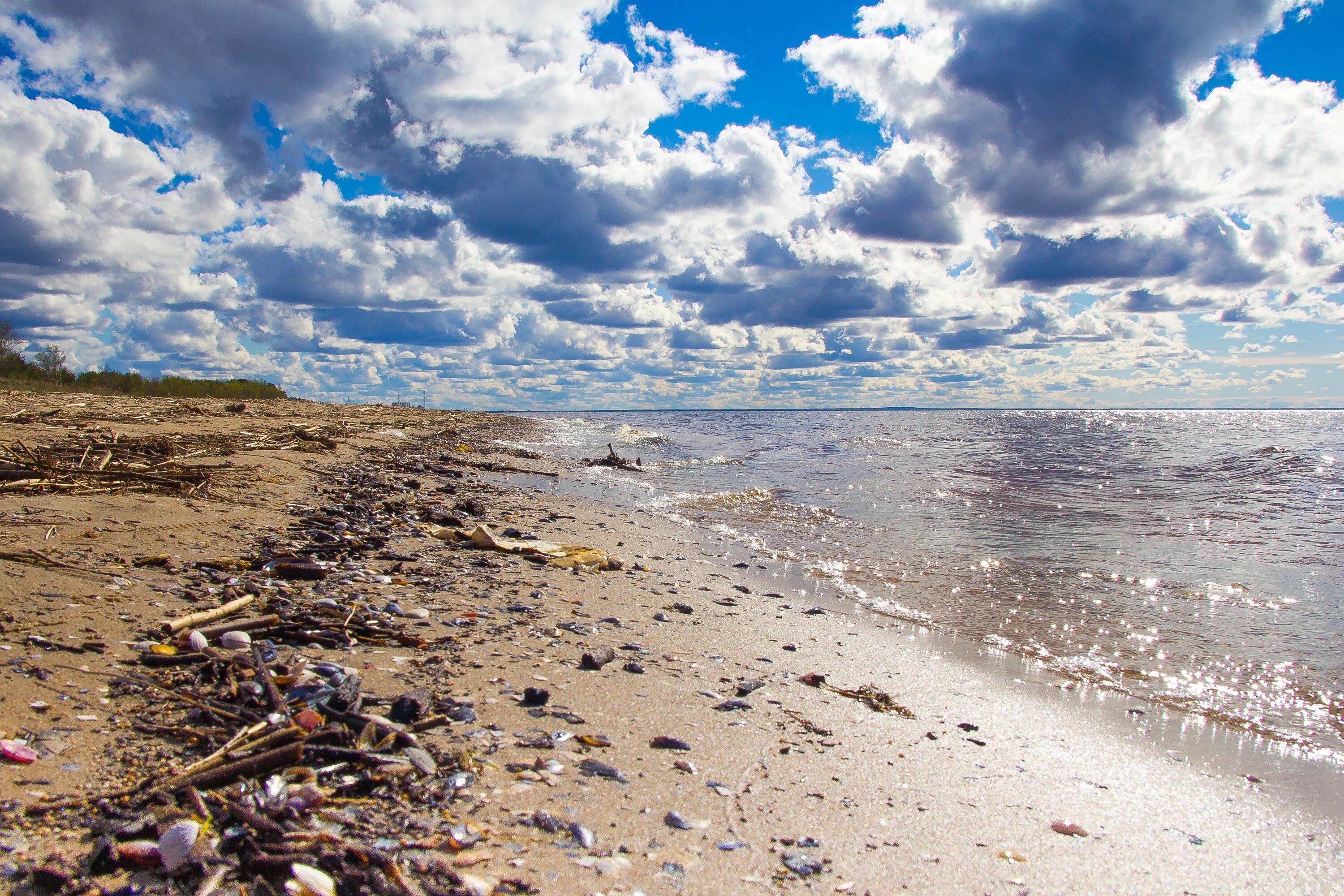 Загрязнение Азовского моря. Загрязненное Азовское море. Азовское море загрязненное отходами. Загрязненность Азовского моря.