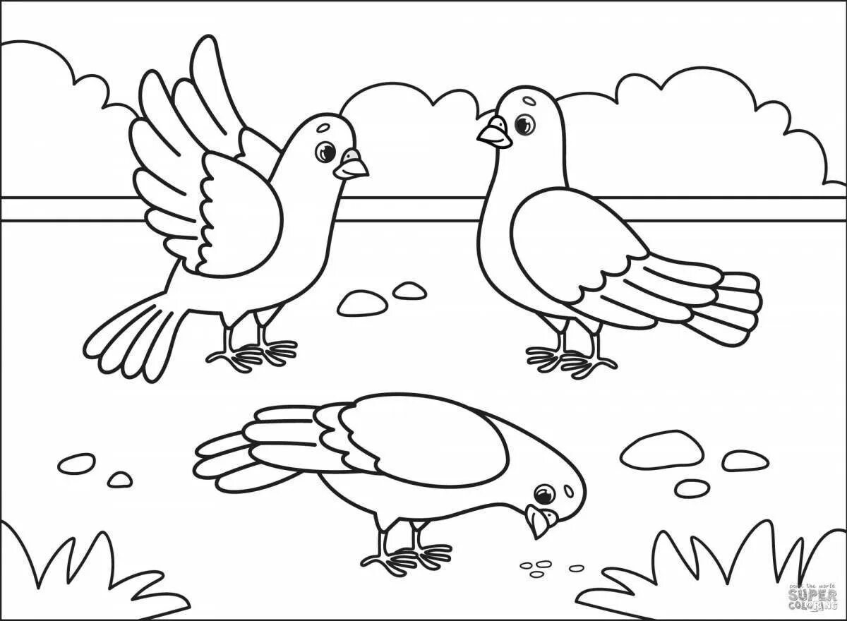 Птица раскраска для детей 7 лет. Птицы. Раскраска. Птицы раскраска для детей. Птичка раскраска для детей. Раскраска Дикие птицы.