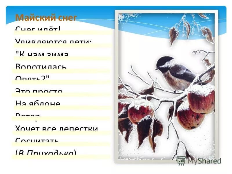анна ахматова перед весной бывают. майский снег приходько. майский снег стихи. ахматова снег. ахматова снег.