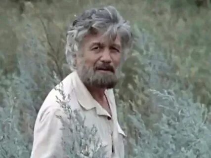 Возвращение будулая роли