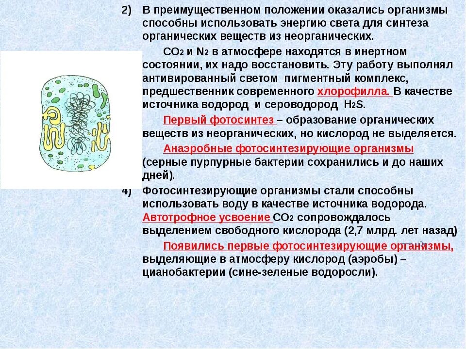 Первые фотосинтезирущие организме. Где появились первые фотосинтезирующие организмы. Первые фотосинтезирующие организмы возникли в эру. Где появились первые многоклеточные фотосинтезирующие организмы. Как повлияло появление фотосинтезирующих организмов