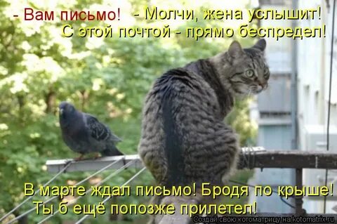 Жена услышит