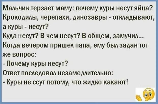 Пришла к мужу в тюрьму. Жена приходит к мужу на свидание в тюрьму муж недовольно спрашивает. Анекдоты про кур. Куры анекдот. Анекдот про курицу и яйца.